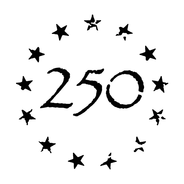 250 Usa Distressed Side Digital Stencil design preview